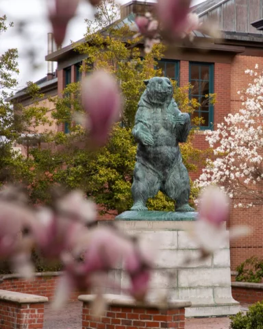 Four Brown University faculty members have been elected members of the American 