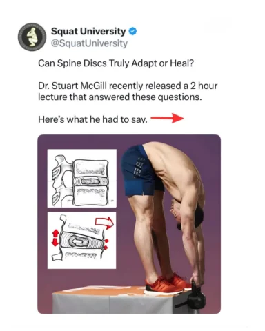 Go watch Dr. McGills lecture on YouTube “Can A Disc Heal, Adapt, Or Be Managed?”