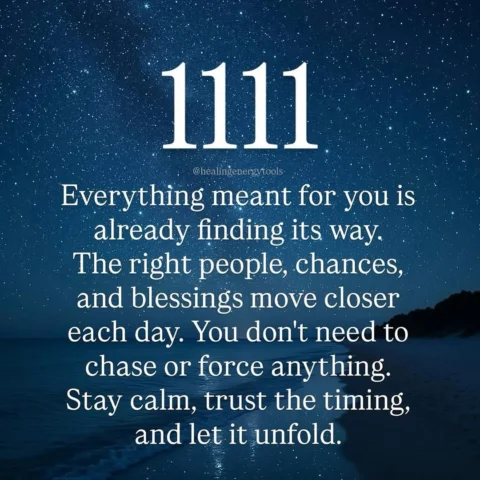 💗Cheers to the queens that rise from the ashes…… 11:11