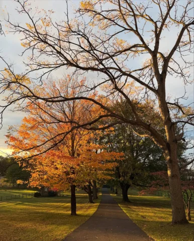 🍁The farm feels so sacred this time of the year, nature’s magical reminder that