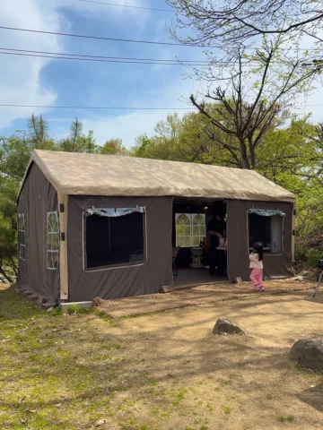 🏕️🌳