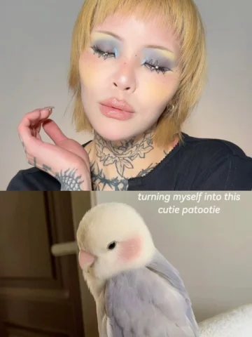 New format alert! My bestie suggested that I break down the process into an IG c
