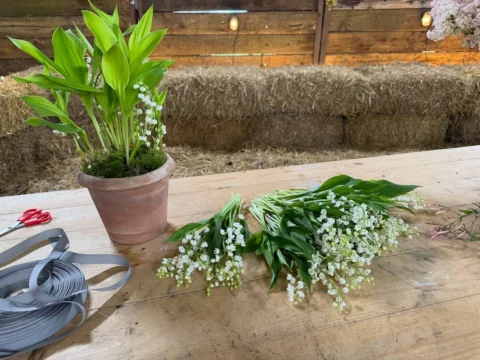 It’s always a pleasure to be at Manor Farm with my fabulous Flower Friend @alant