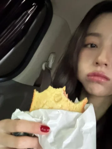 셀카모음