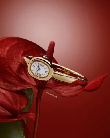 For the one who’s always there 🌹

The Baignoire is available now at Wrist Afici