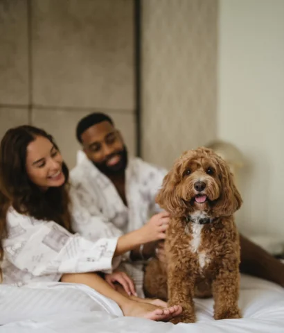 Paws welcome, always 🐾

At Kimpton Margot Sydney, your four-legged companion is