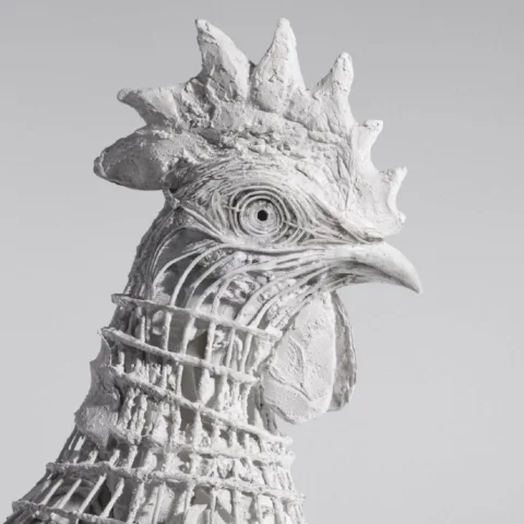 A face only a mother could love.

WHITE ROOSTER 
Written and Directed by @matthe