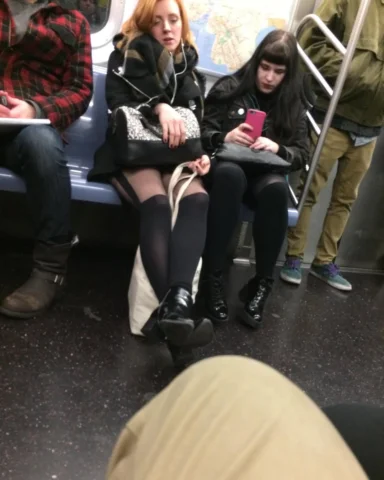 The L train subway goth is an elusive and mysterious cryptid that manifests in c
