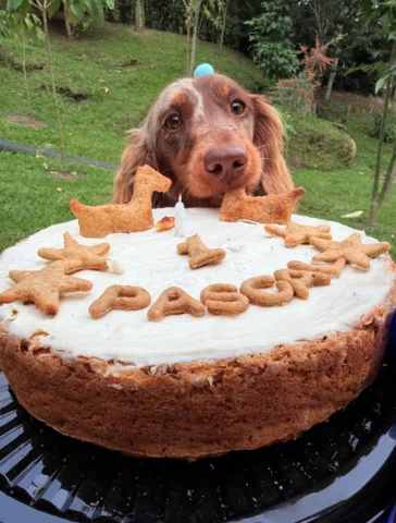 Así fue el cumpleaños #1 de Pascal 😍🥰