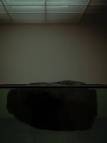 Honoured to experience the first solo exhibition of Pierre Huyghe at the Fondati