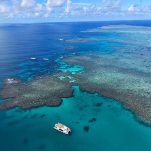 Just got sent some epic drone shots from today by @maciver__. Nice work, mate! Y
