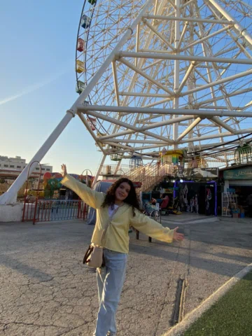🎡