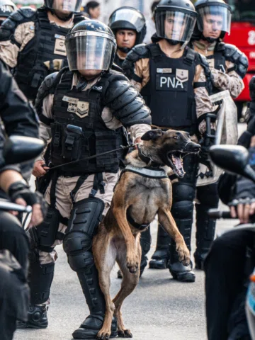 Parece una película, pero es la intemperie del presente.
Mientras diputados y se