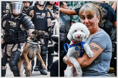 Nueva entrega de los dípticos “De qué lado de la mecha te encontrás”

Pensé que 