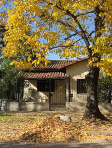 sábado en bella vista. 

hoy pude tachar uno de esos pendientes históricos (desd