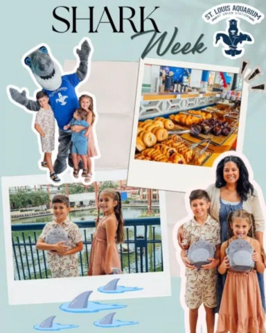 🦈 Make breakfast an adventure during Shark Week @aquariumstl

Have breakfast wi
