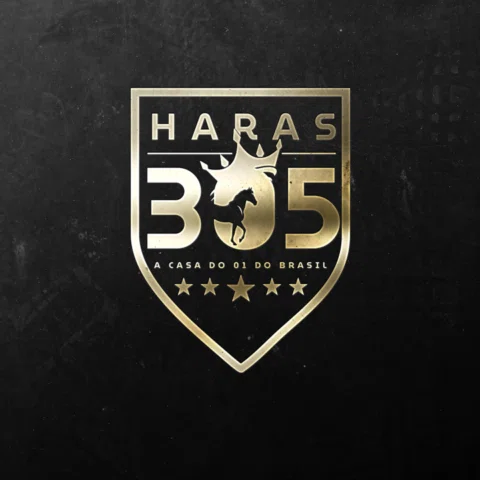 🔥 Haras 305 🔥
A casa do 01 do Brasil 🏆🐎

Uma marca construída com força, exc