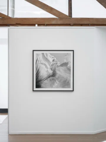 I’m happy to share that Poppy No. 15 and Ginkgo are currently on view at @8wallg