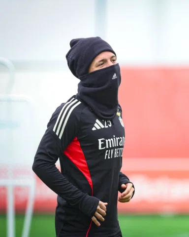 😁🥷🏻⚽️🌧️🦅