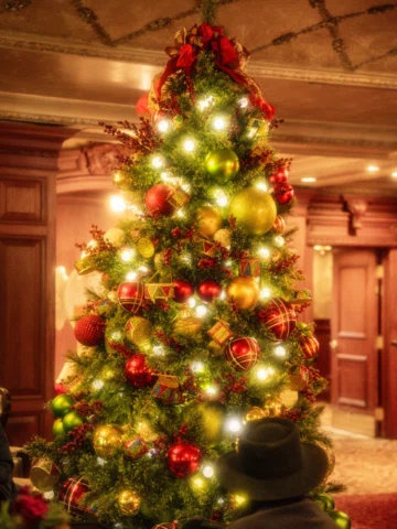 The kind of place that makes Christmas feel extra special. 

@princeofwalesnotl 
