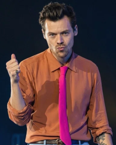 together together n2 .𖥔 ݁ ˖📷. ݁₊ ⊹ .

#harrystyles #harrystylestour #harrystyl