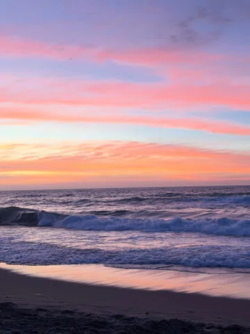 💌🐚🌊