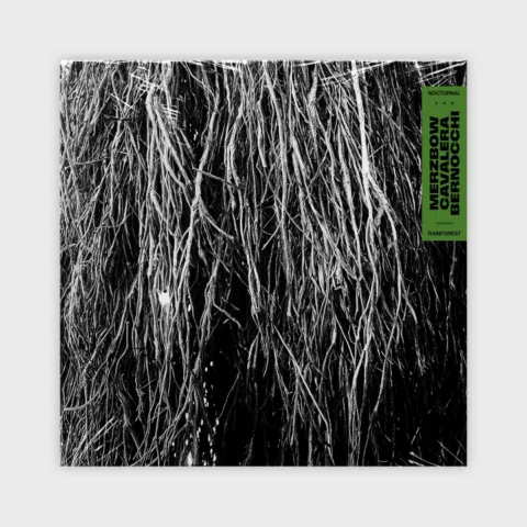 MERZBOW, IGGOR CAVALERA, and ERALDO BERNOCCHI are releasing their first collabor