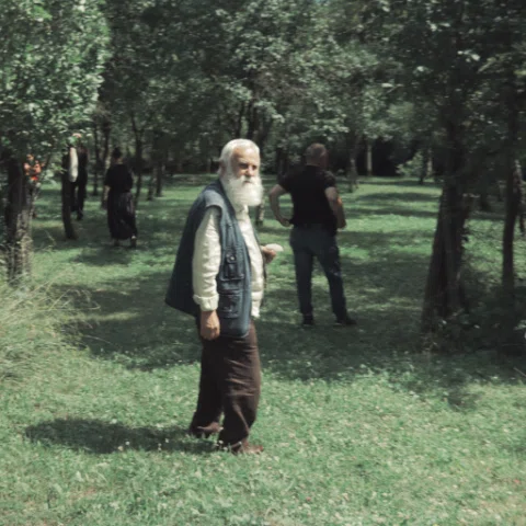 Curatorial visit at Şona, a quintessential place in Stefan Câlția’s biography wi