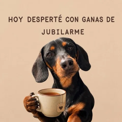 No quiero trabajar.