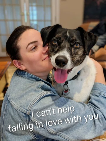 This adorable puppy has grown up and he is a total love. We get to babysit for a