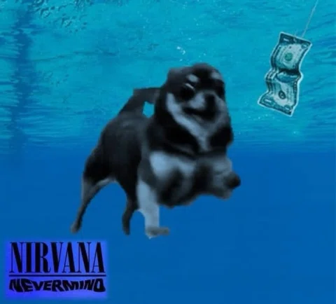 One time I did a Tina photoshop challenge. I ended up with over 60 photoshopped 