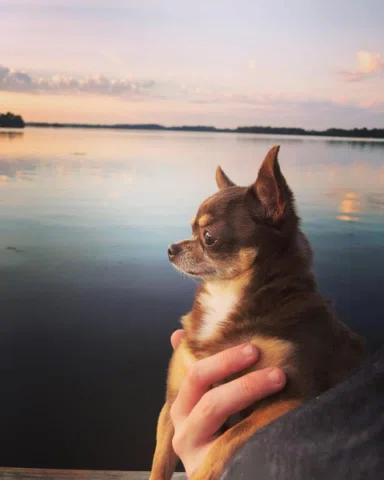 A picture I took at my parents’ camp six years ago today. It’s always been one o