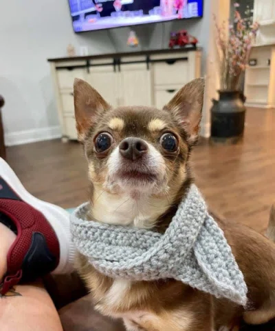 Friendly reminder that one time I made Tina a scarf.
