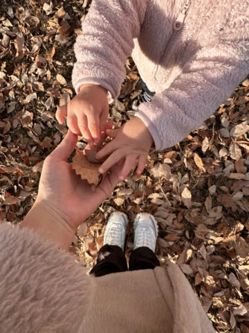 ⁡
⁡
🍂🍁🐜
息子はドキドキしながらもハーネスをつけてアスレチックに挑戦！
ママもやってと言われたけれど怖くて出来なかった...笑
次回はリベンジだ〜
