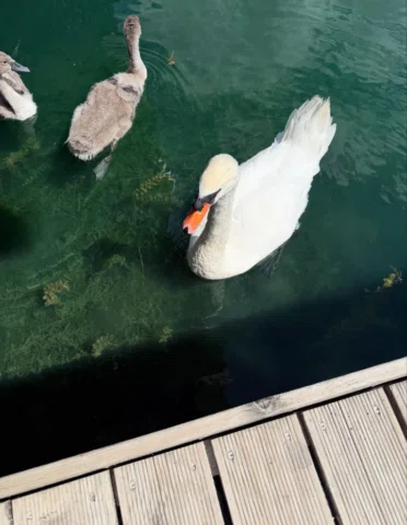 Os acordáis de este finde en el lago? Pues fue uno de los más especiales de nues
