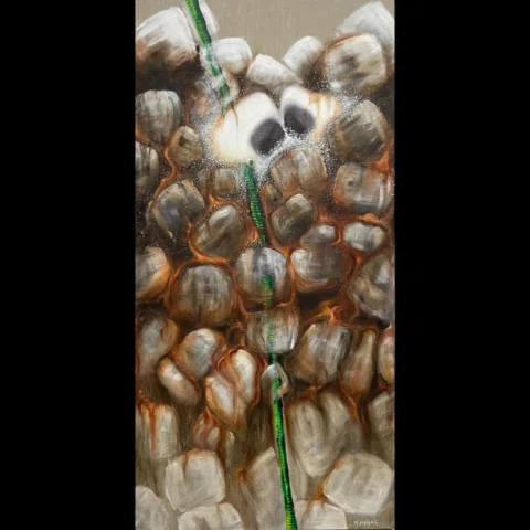 “Russan Black” 60x120cm TÜAB 2026 “NEŞELİ SIVILAR” Koleksiyonu
/“Russian Black” 