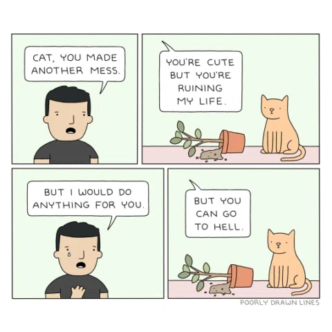 cat comics (comics with cats)
