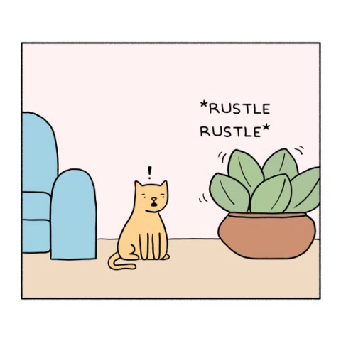 the other cat 😒