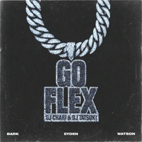 Outnow💎🌊 

@djchari @djtatsuki 

DJ CHARI & DJ TATSUKI - GO FLEX feat. @bark_b
