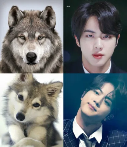 #Jin