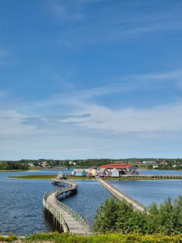 🇨🇦 Postcard from Nouveau-Brunswick part 2 avec @explorenbfr

🛖 Deuxième jour 