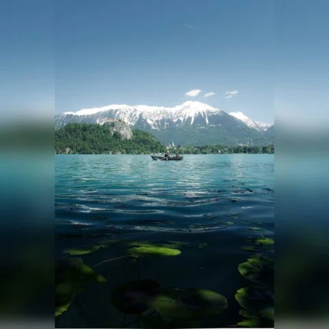 Lago Bled. Me agaché casi a ras del agua para meter esos nenúfares en primer pla