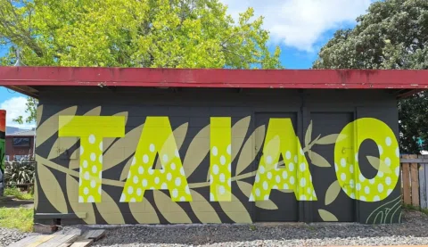 A recent mural project that has been done over labour weekend for @kiwirailnz to