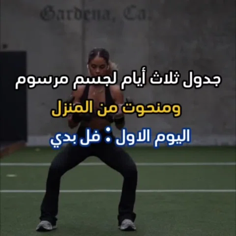 كل ما تحتاجينه هو 2 دمبلز + باند مقاومة (ممكن بدونها).

لعمل خطة رياضية شخصية + 