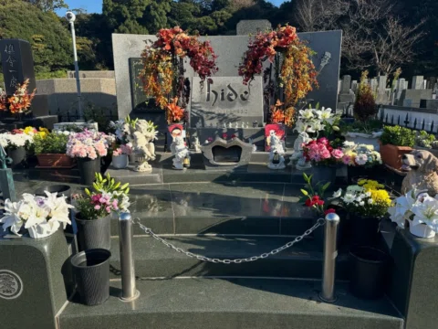 HIDEさんRIP🙏#hide #また春に会いましょう