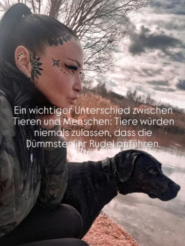 🐾🖤
Klingt komisch - aber den Gedanken hab ich immer mehr, wenn man auf das Gro