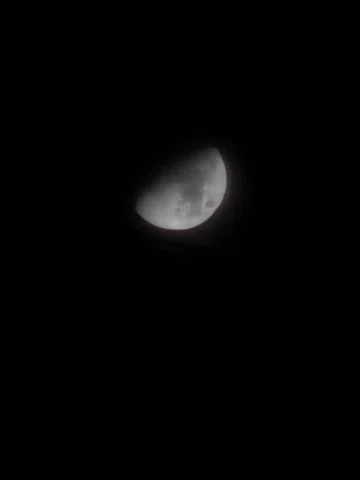 Just Some Random and Raw Photos from S26 🥰

#naturelove #dailylife #ghostrants 