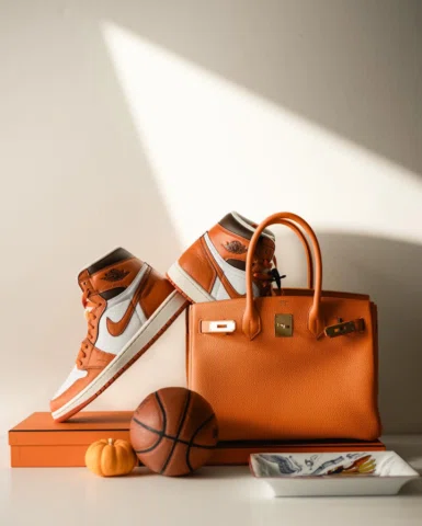 Hermes Jordan 1 #hermes