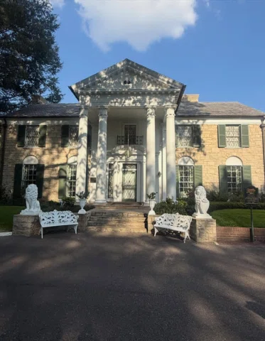 𝑔𝓇𝒶𝒸𝑒𝓁𝒶𝓃𝒹, you have my heart 🤍

I was amazed walking through the beaut