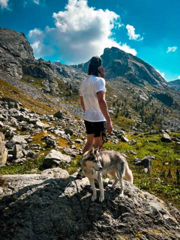 Nuova side quest sbloccata: 

Vedi una ragazza straniera e le proponi un trail a